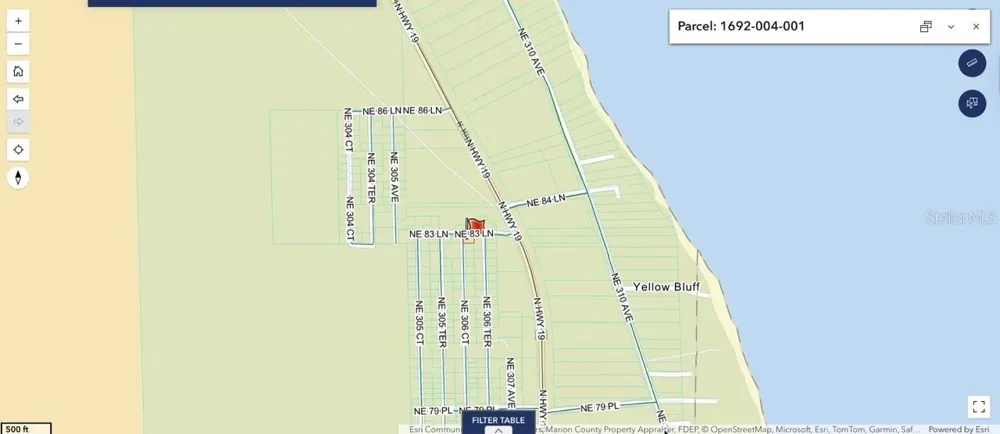 8365 NE 306TH COURT Salt Springs, FL 32134