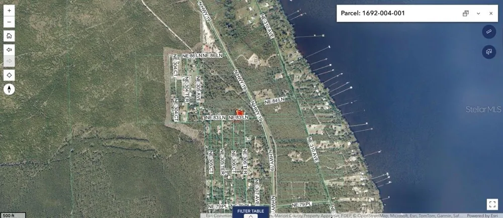 8365 NE 306TH COURT Salt Springs, FL 32134