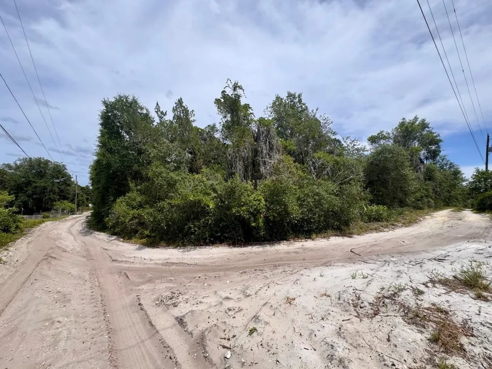 8365 NE 306TH COURT Salt Springs, FL 32134