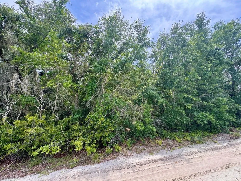 8365 NE 306TH COURT Salt Springs, FL 32134