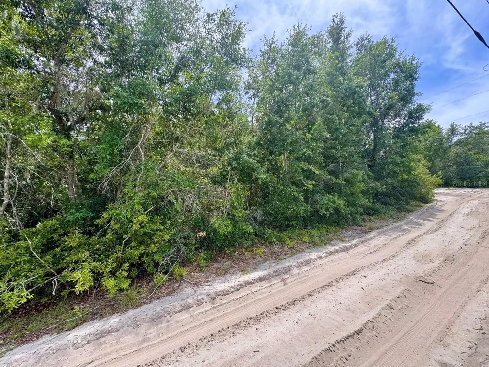 8365 NE 306TH COURT Salt Springs, FL 32134
