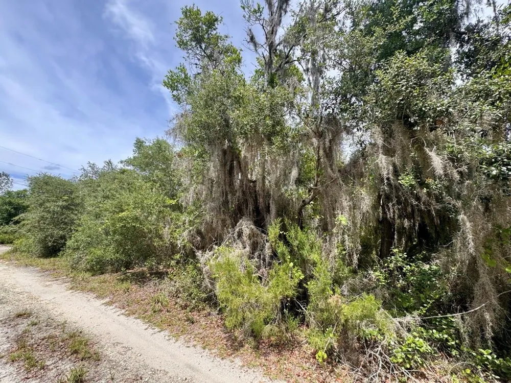 8365 NE 306TH COURT Salt Springs, FL 32134