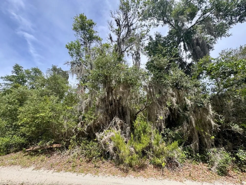 8365 NE 306TH COURT Salt Springs, FL 32134