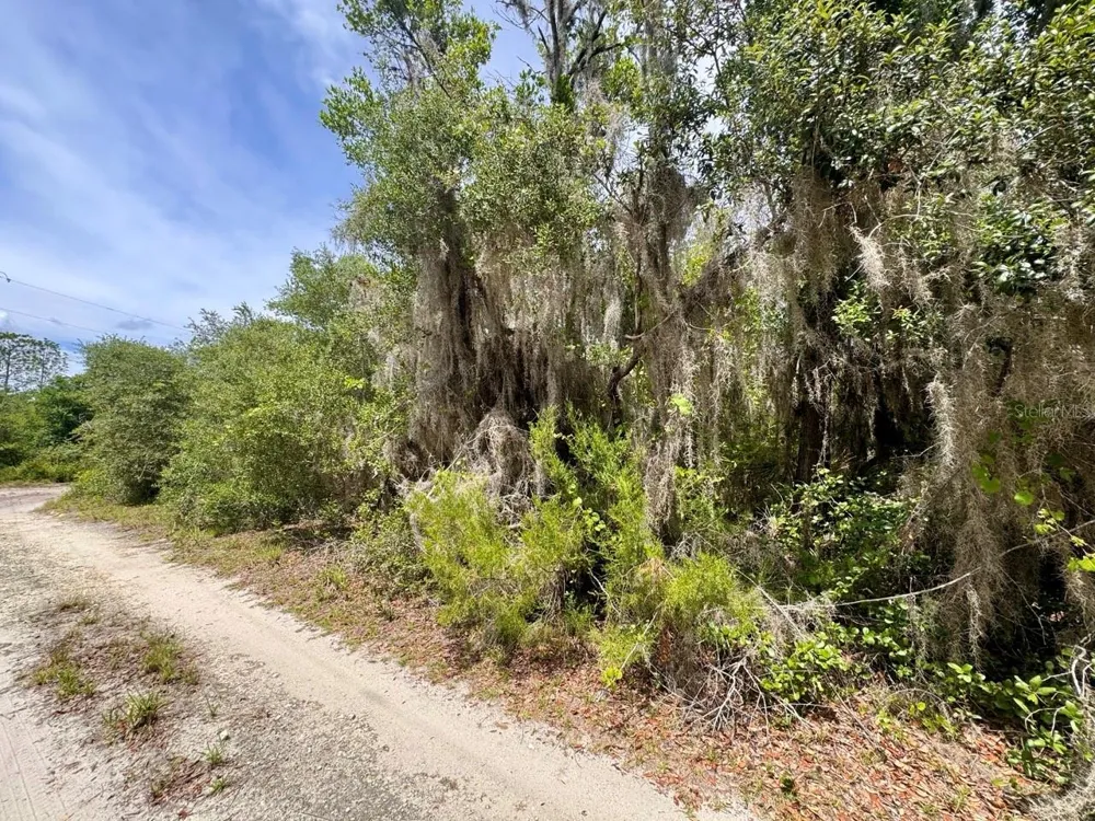 8365 NE 306TH COURT Salt Springs, FL 32134