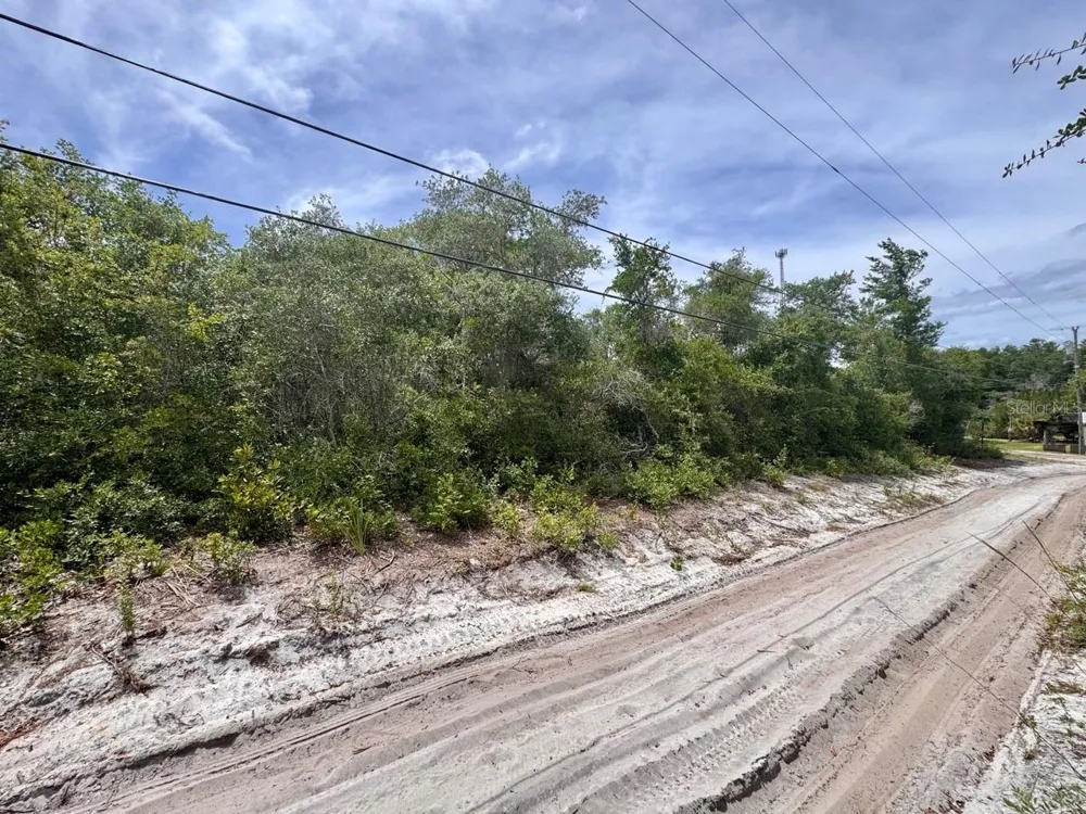 NE 306TH TERRACE Salt Springs, FL 32134