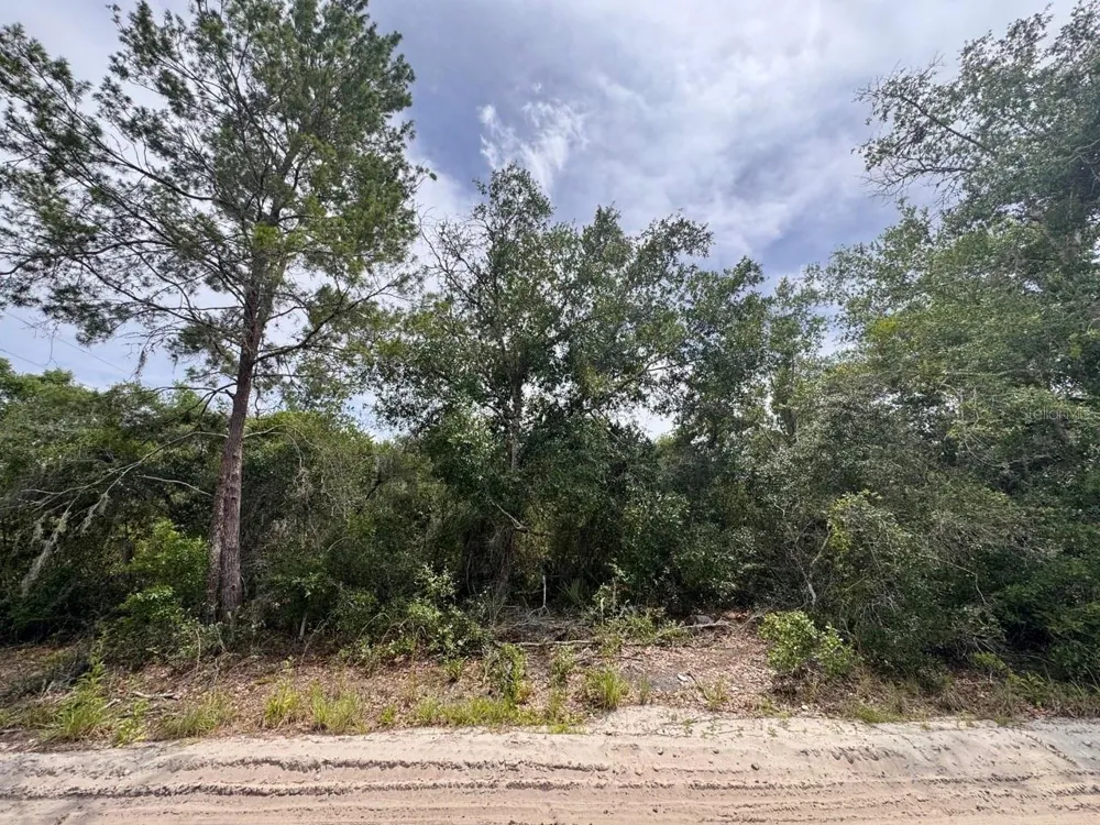 NE 306TH TERRACE Salt Springs, FL 32134