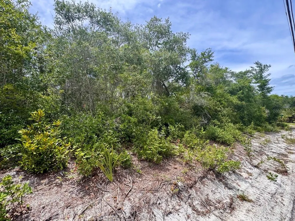 NE 306TH TERRACE Salt Springs, FL 32134
