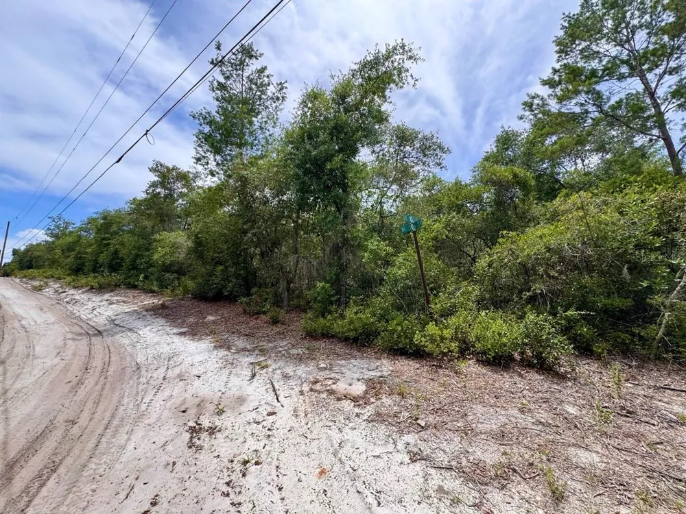 NE 306TH TERRACE Salt Springs, FL 32134