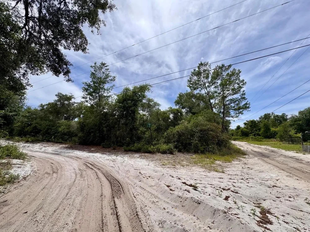 NE 306TH TERRACE Salt Springs, FL 32134