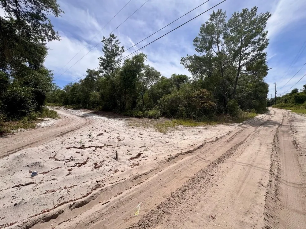 NE 306TH TERRACE Salt Springs, FL 32134