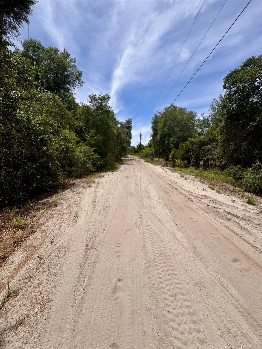NE 306TH TERRACE Salt Springs, FL 32134