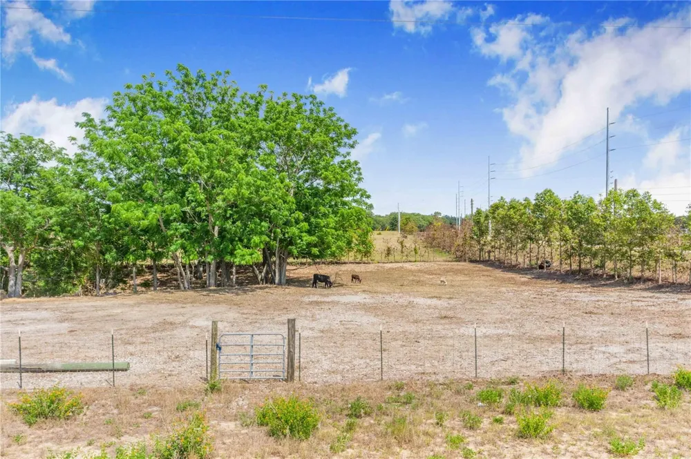 LAKE HATCHINEHA ROAD Haines City, FL 33844