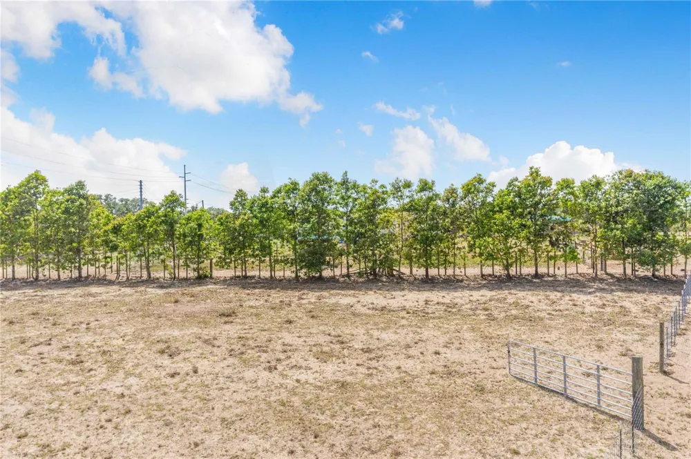LAKE HATCHINEHA ROAD Haines City, FL 33844