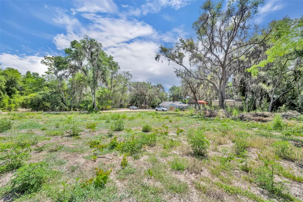 13450 SE 105TH TERRACE Ocklawaha, FL 32179