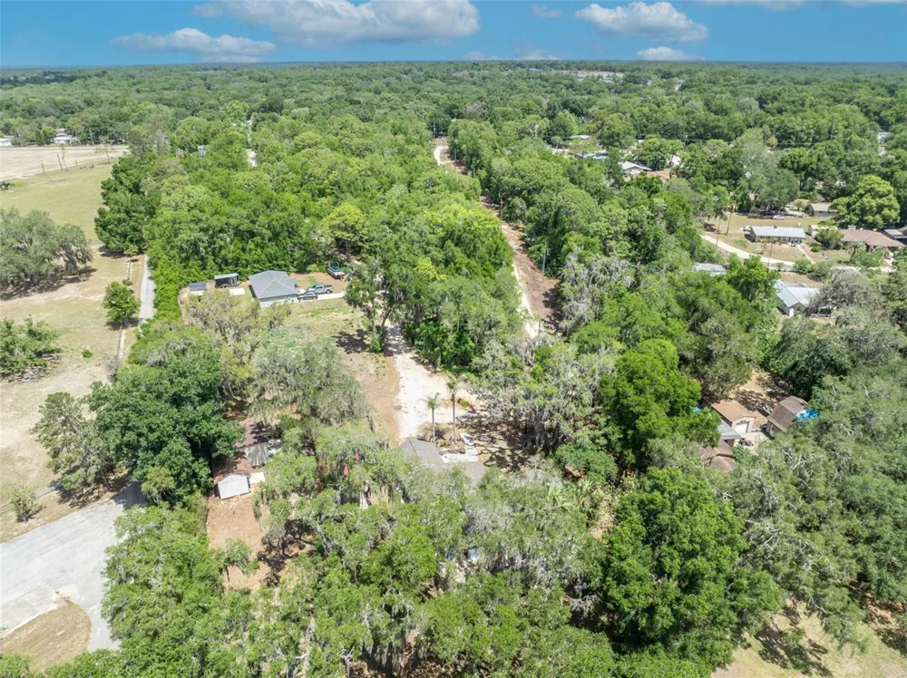 13450 SE 105TH TERRACE Ocklawaha, FL 32179