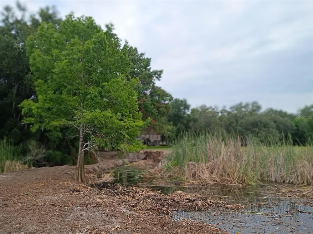 13450 SE 105TH TERRACE Ocklawaha, FL 32179