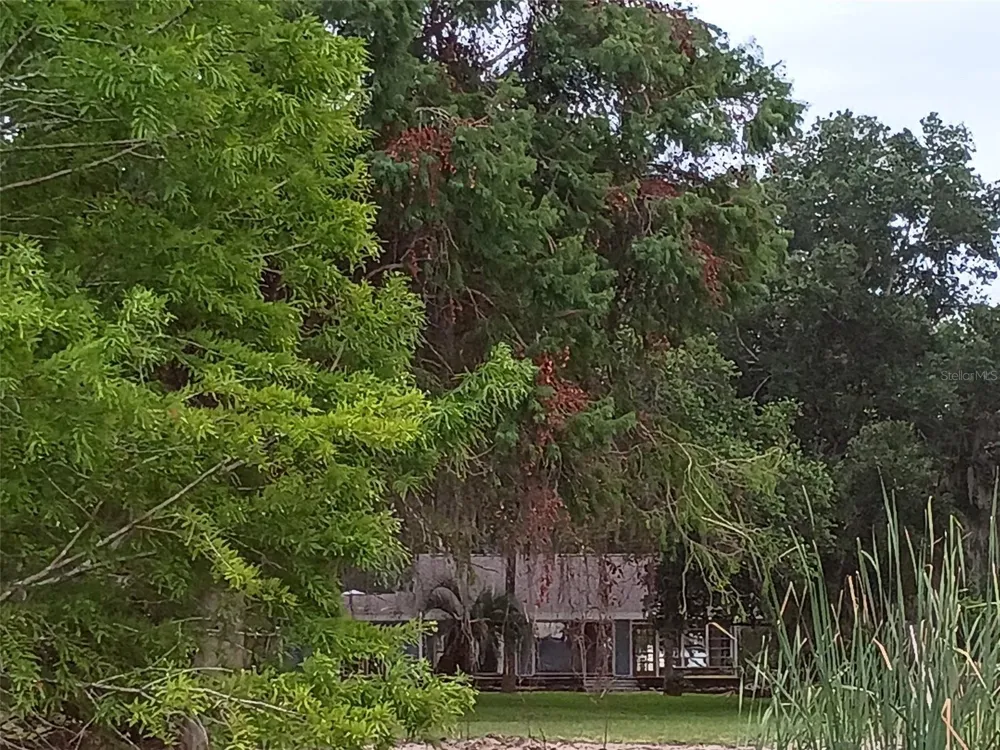 13450 SE 105TH TERRACE Ocklawaha, FL 32179