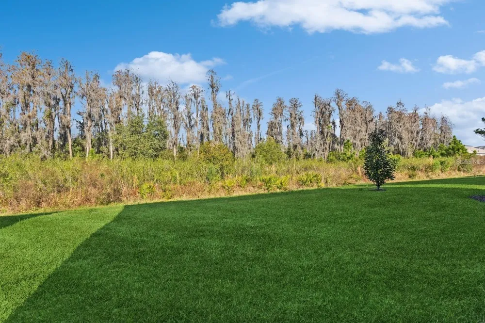3281 GREAT BANYAN WAY Wesley Chapel, FL 33543