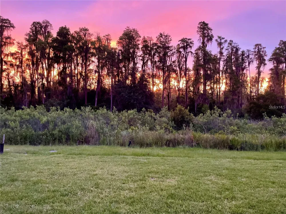 3281 GREAT BANYAN WAY Wesley Chapel, FL 33543
