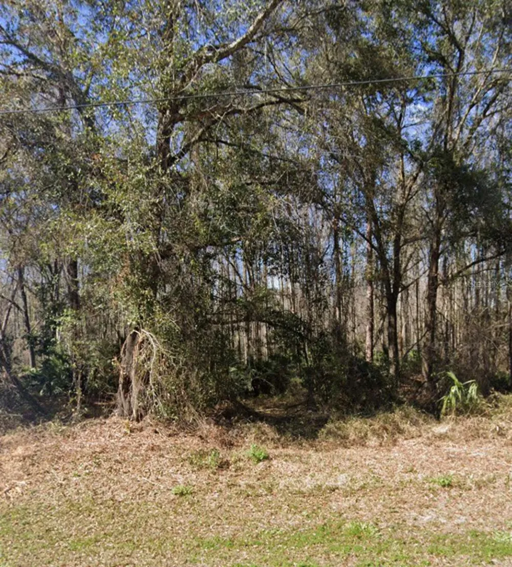 KEY LIME New Port Richey, FL 34654