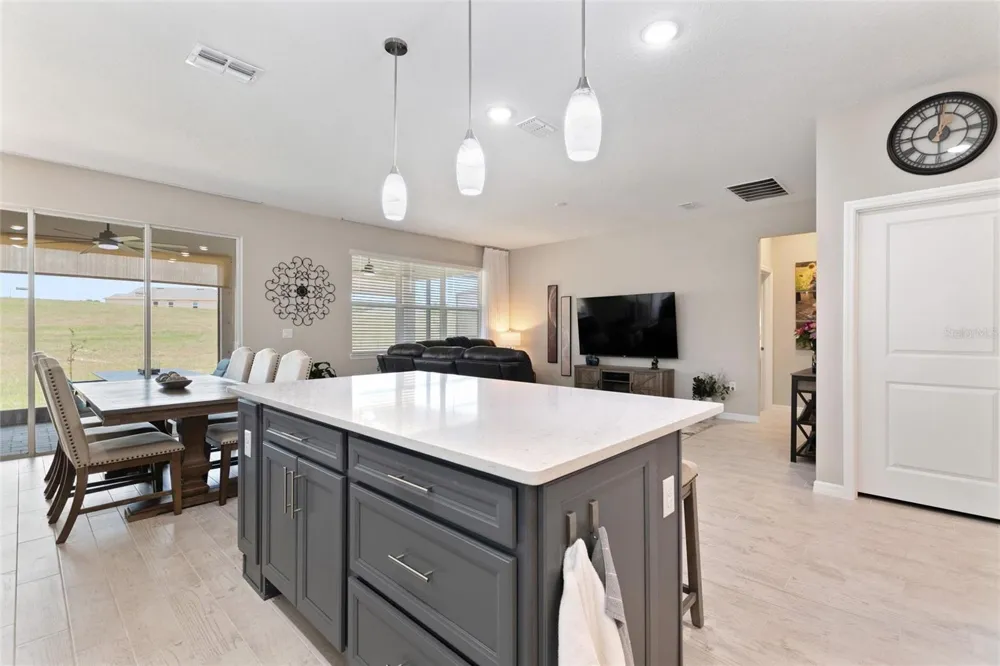 1333 ZESTY CITRUS LN Minneola, FL 34715