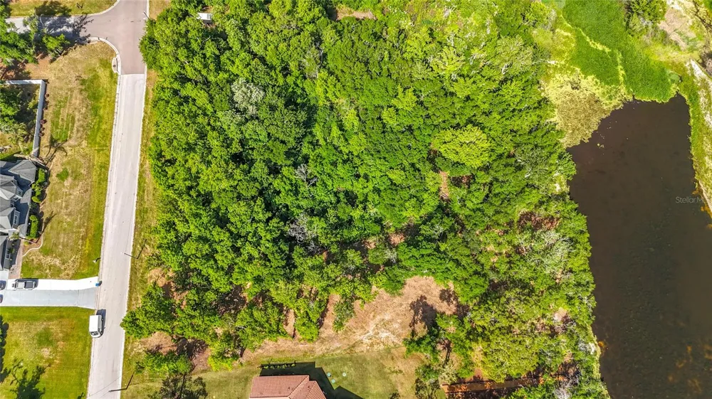 LOT 19  LAKE HILLS DR. Riverview, FL 33569