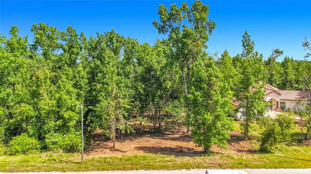 LOT 19  LAKE HILLS DR. Riverview, FL 33569
