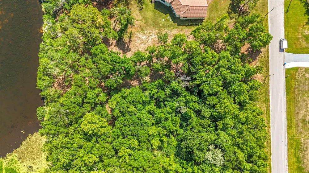 LOT 19  LAKE HILLS DR. Riverview, FL 33569