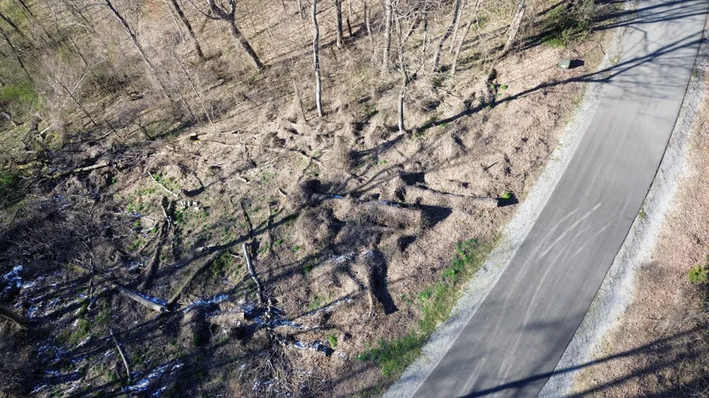 0 Lola Dr Smithville, TN 37166