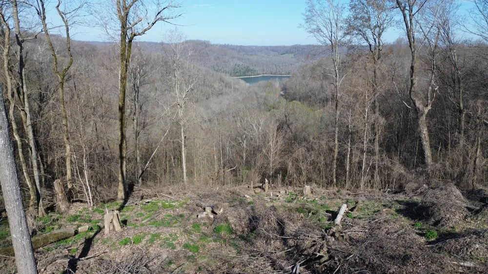 0 Lola Dr Smithville, TN 37166