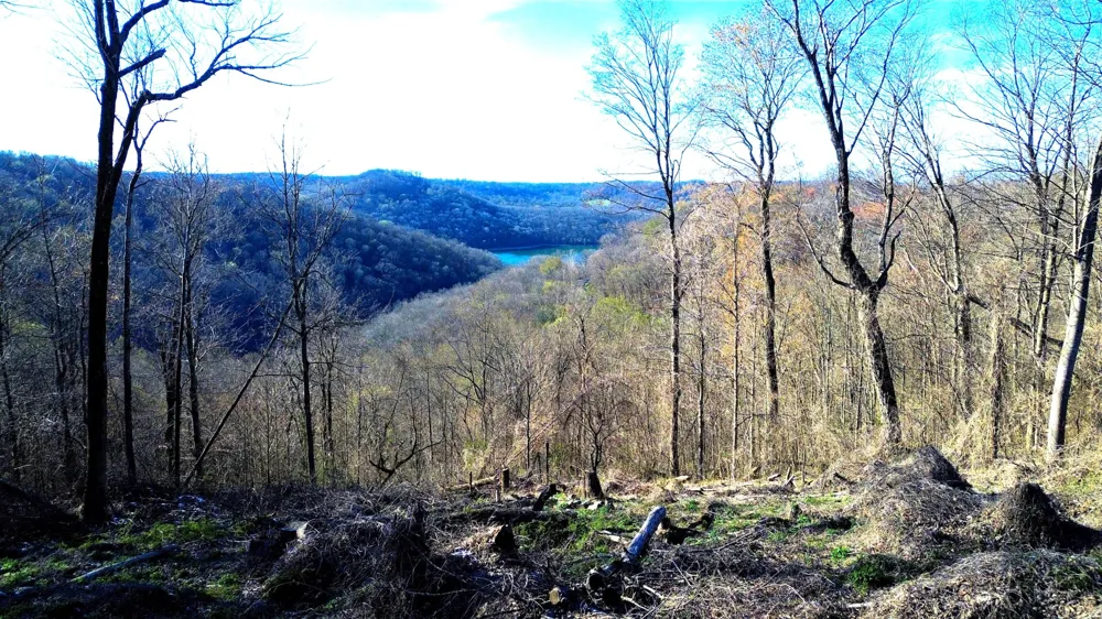 0 Lola Dr Smithville, TN 37166