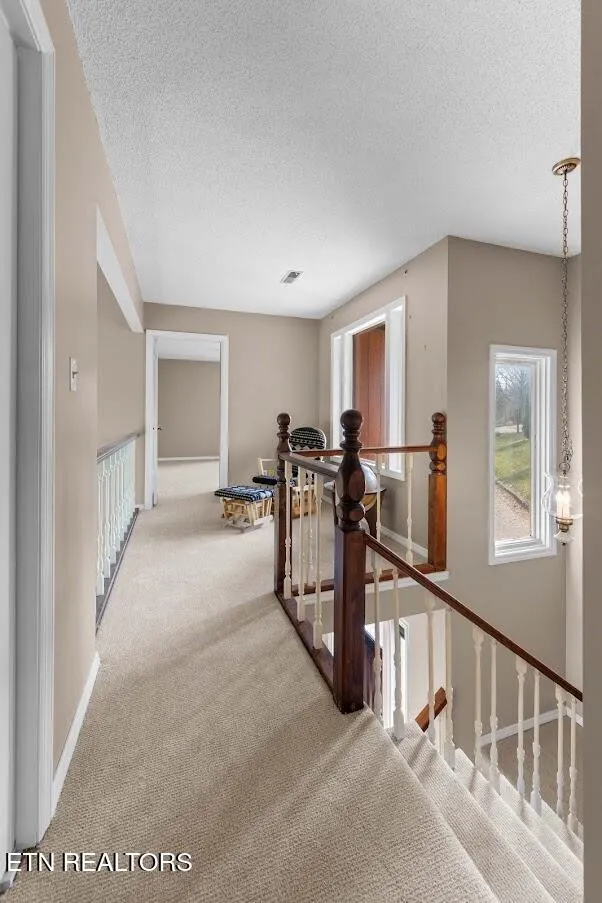 770 Mount Paran Rd Jacksboro, TN 37757