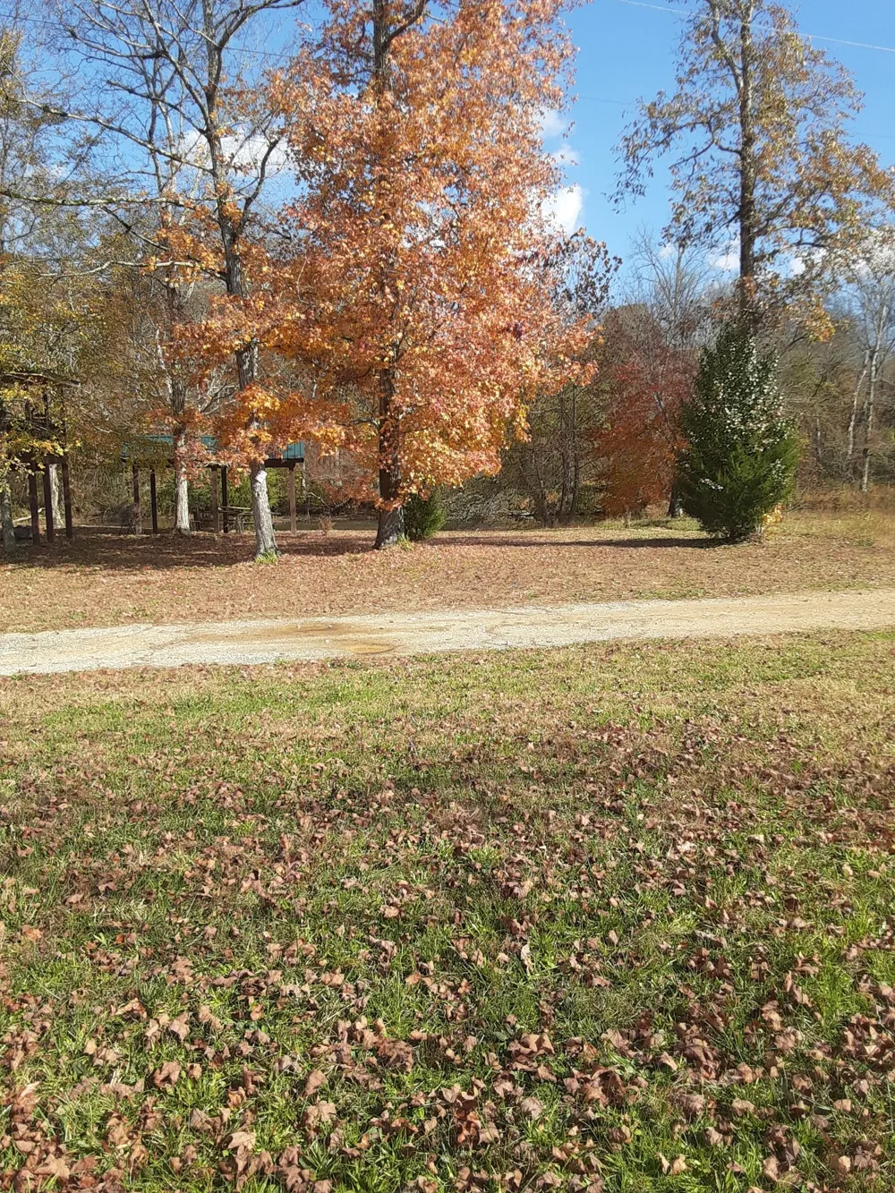 506 Tablerock Rd Hohenwald, TN 38462