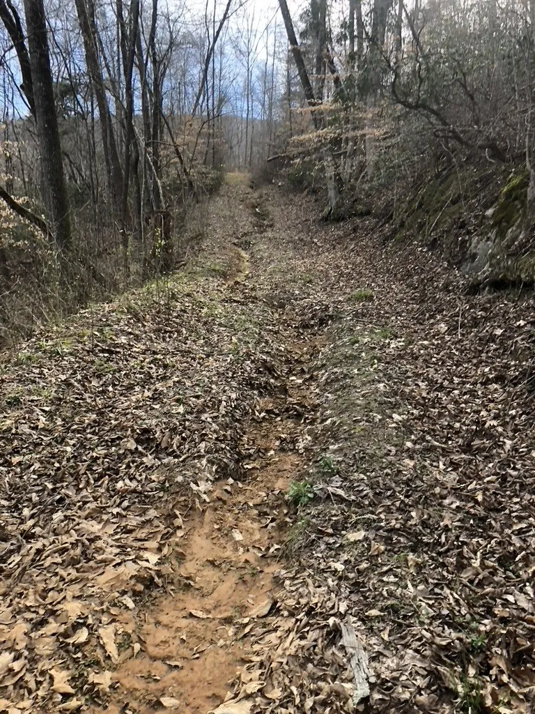 8450 Old Highway 28 Pikeville, TN 37367