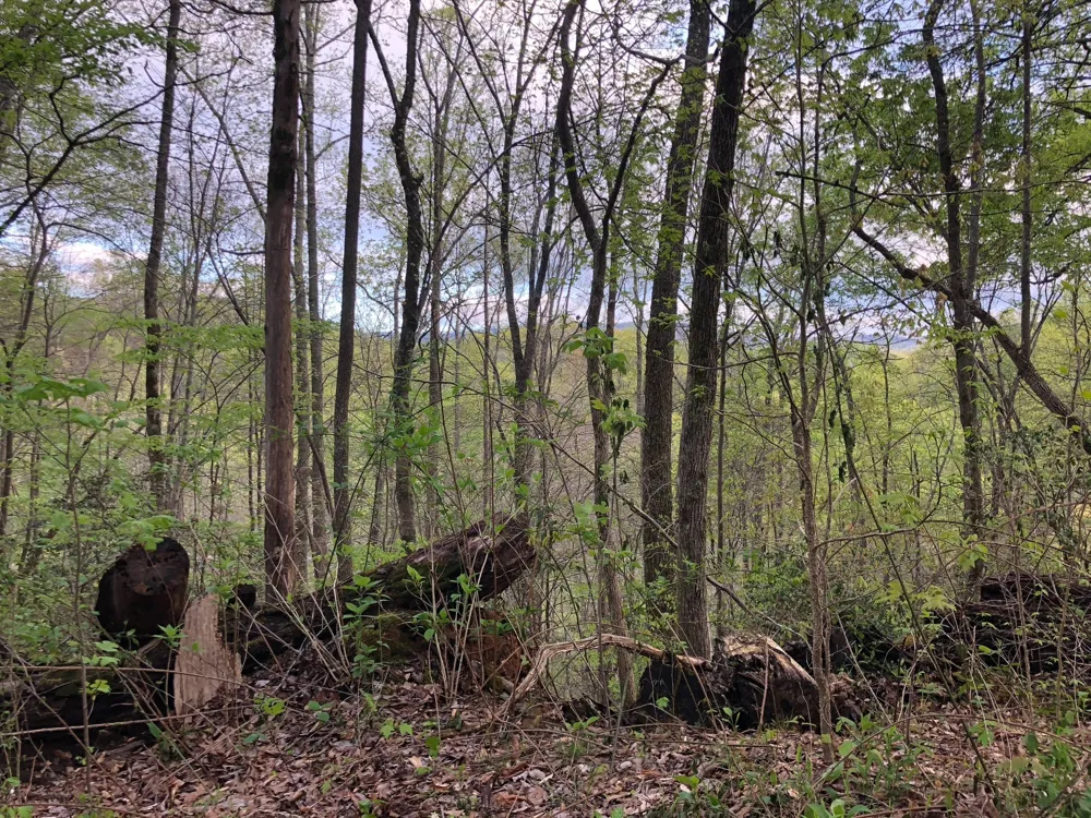 8450 Old Highway 28 Pikeville, TN 37367