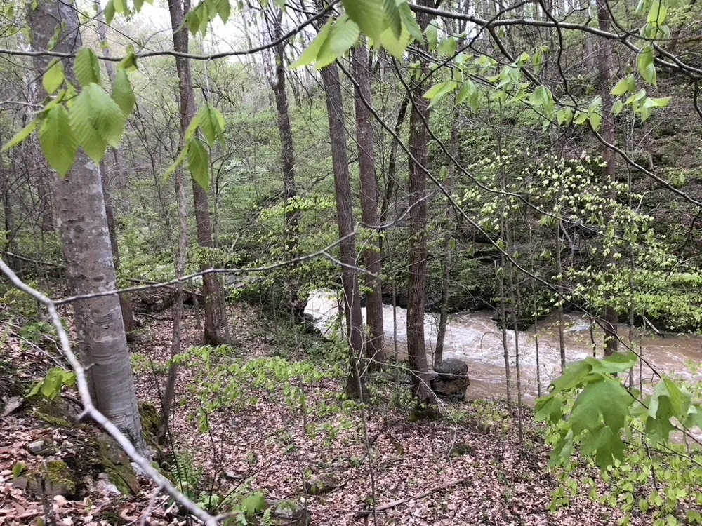 8450 Old Highway 28 Pikeville, TN 37367