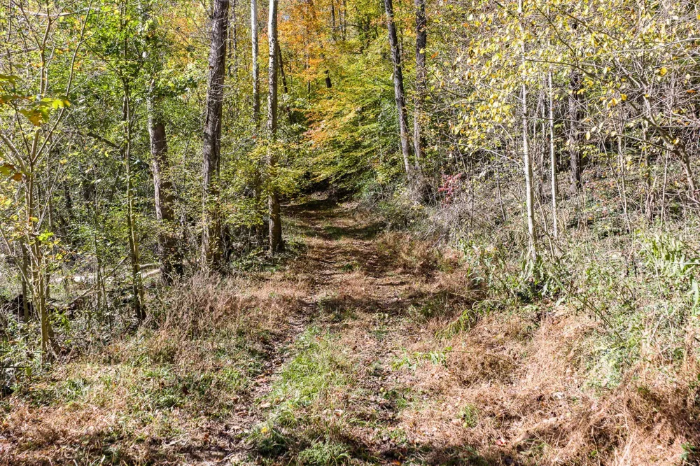 8450 Old Highway 28 Pikeville, TN 37367