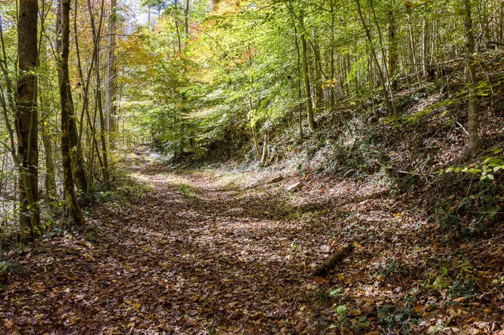 8450 Old Highway 28 Pikeville, TN 37367