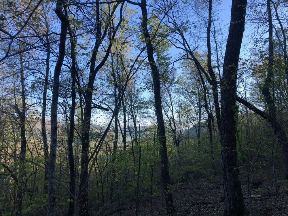 8450 Old Highway 28 Pikeville, TN 37367