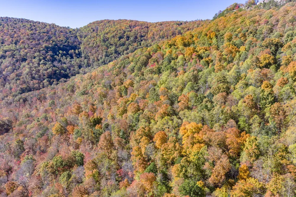 8450 Old Highway 28 Pikeville, TN 37367