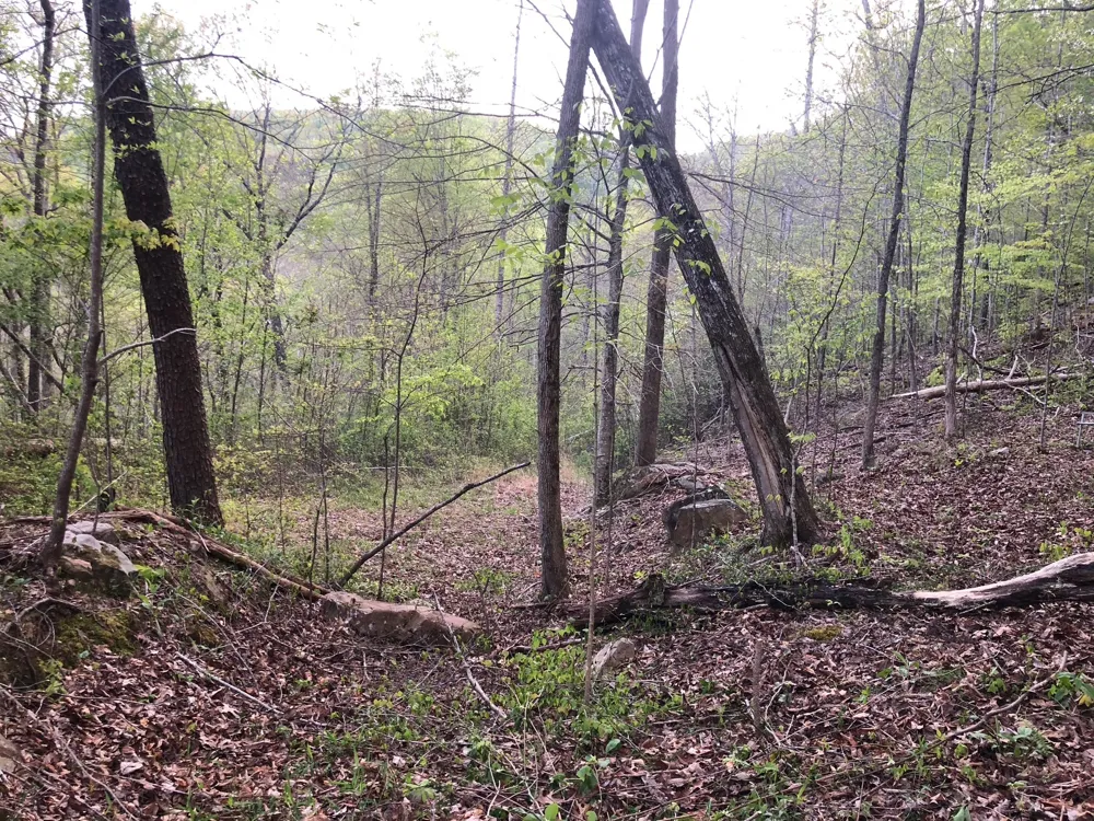 8450 Old Highway 28 Pikeville, TN 37367