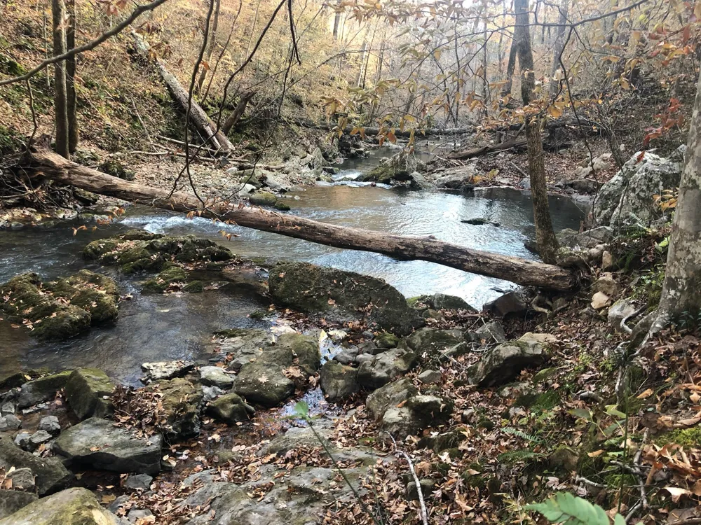 8450 Old Highway 28 Pikeville, TN 37367