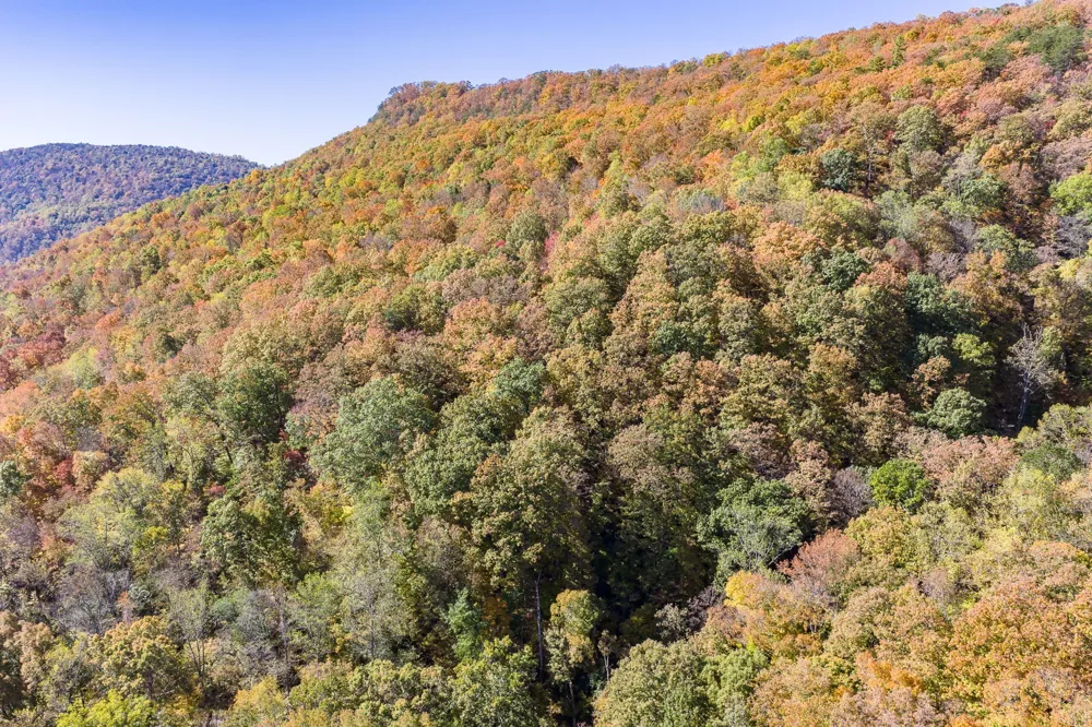 8450 Old Highway 28 Pikeville, TN 37367
