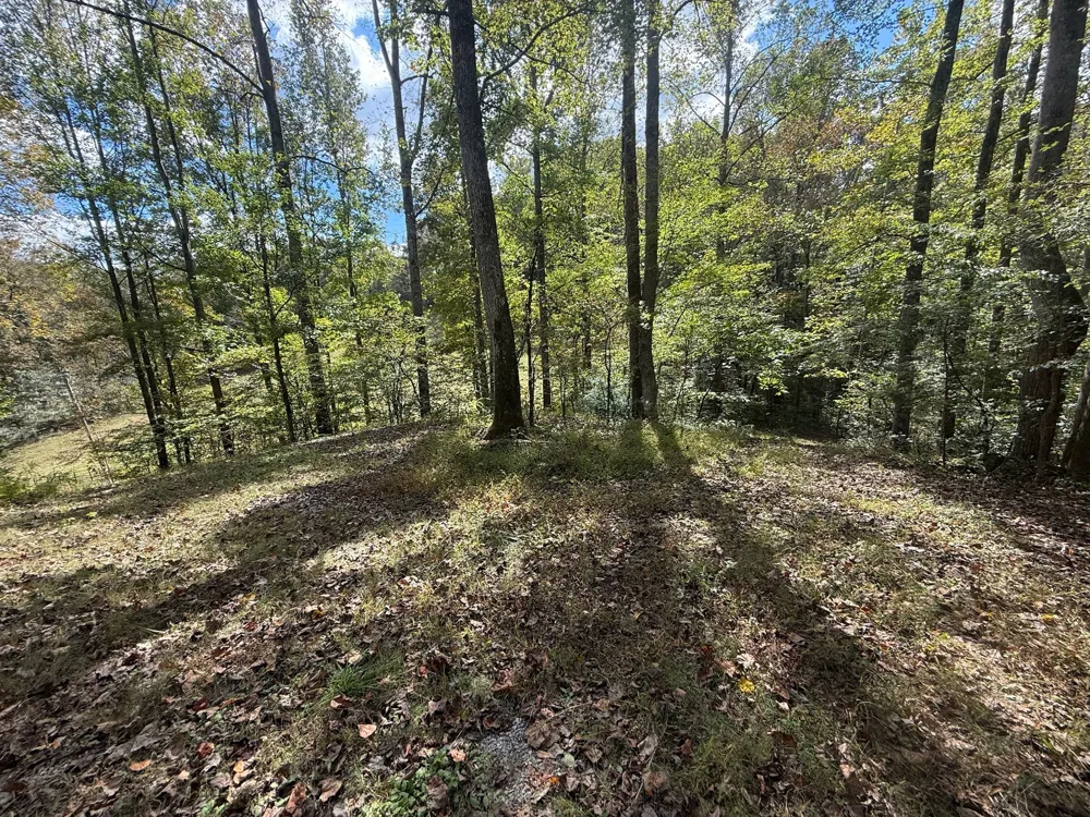 8450 Old Highway 28 Pikeville, TN 37367