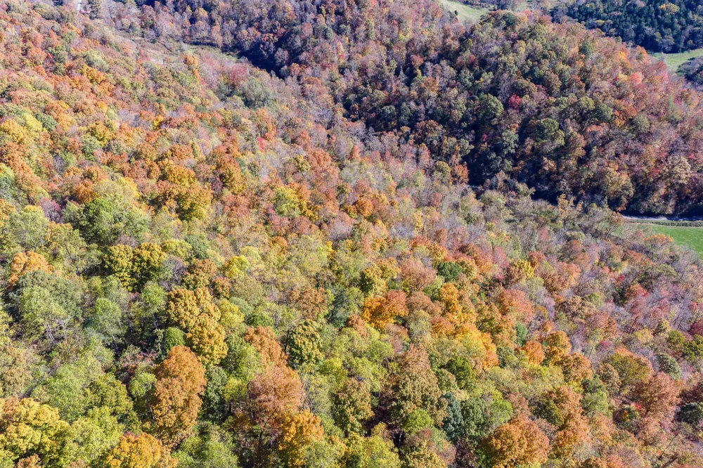 8450 Old Highway 28 Pikeville, TN 37367