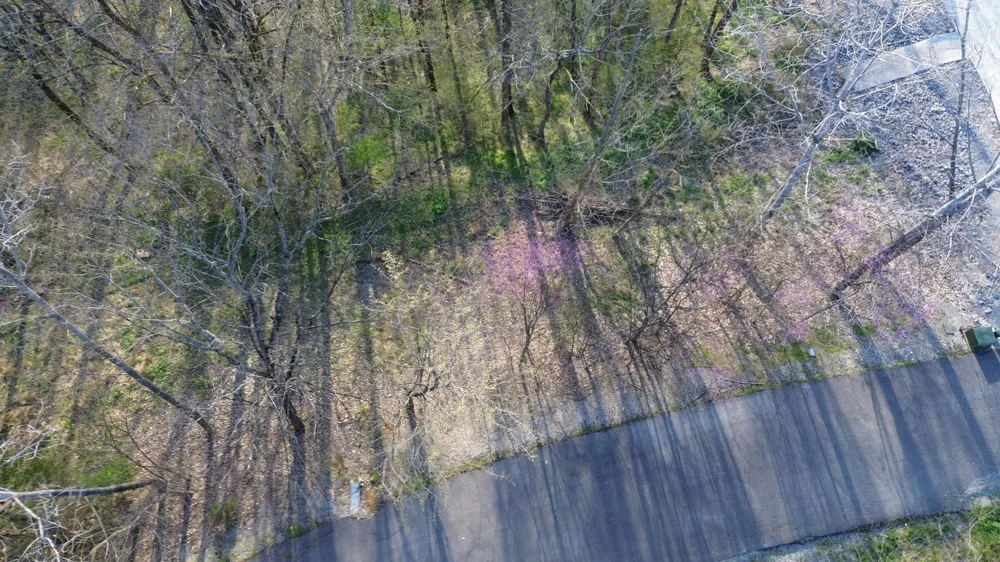 0 Wilson Cir Smithville, TN 37166