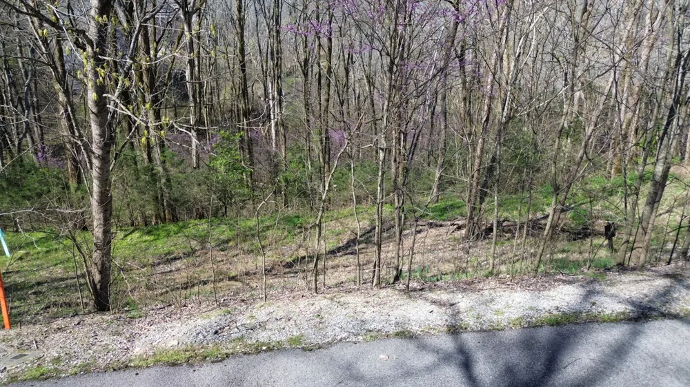 0 Wilson Cir Smithville, TN 37166