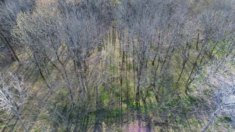 0 Wilson Cir Smithville, TN 37166