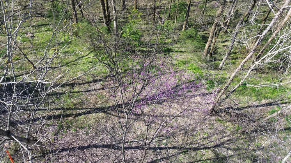 0 Wilson Cir Smithville, TN 37166