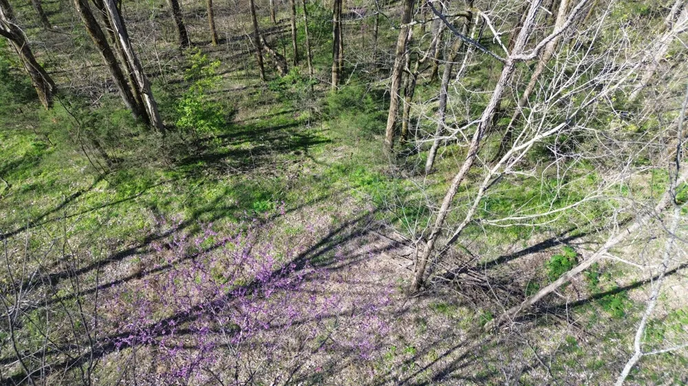 0 Wilson Cir Smithville, TN 37166